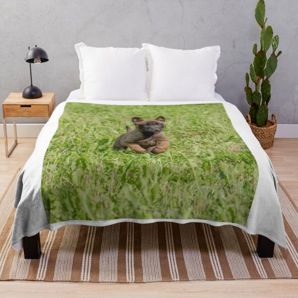 Item preview, Cute Belgian Malinois Puppy Running designed and sold by VanGaldo.