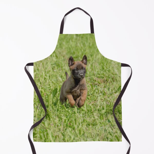 Item preview, Cute Belgian Malinois Puppy Running designed and sold by VanGaldo.