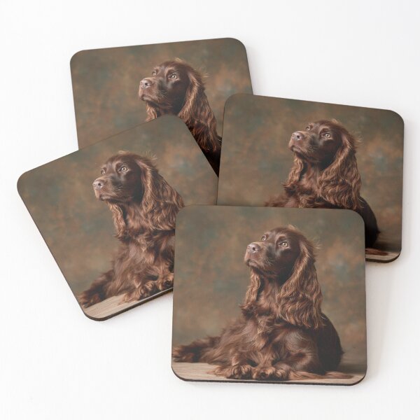 Item preview, Cute Sussex Spaniel designed and sold by Elisabeth Lucas.