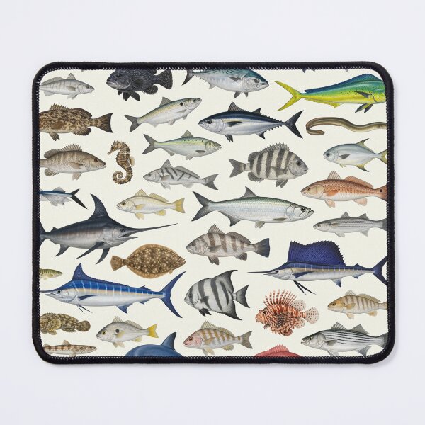 Item preview, Fishes of the North Carolina Coast Identification Chart designed and sold by kakarikihill.