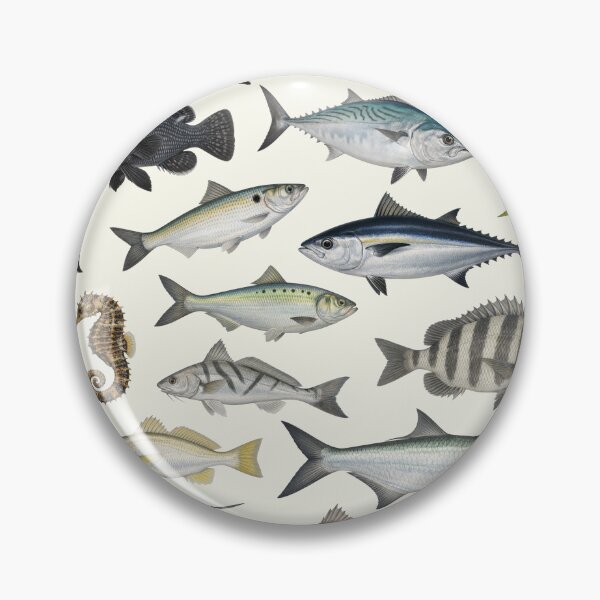 Item preview, Fishes of the North Carolina Coast Identification Chart designed and sold by kakarikihill.