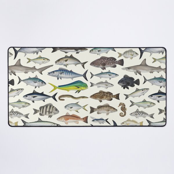 Item preview, Fishes of the North Carolina Coast Identification Chart designed and sold by kakarikihill.