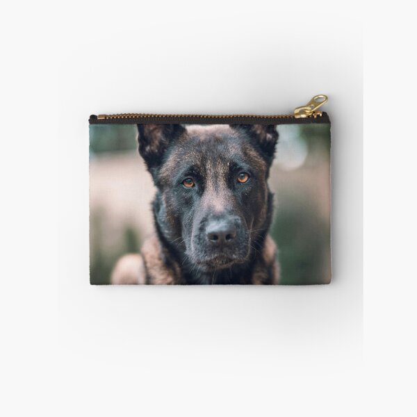 Item preview, Serious Portrait of Belgian Malinois Dog designed and sold by VanGaldo.