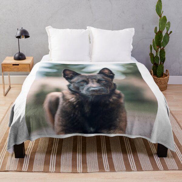 Item preview, Serious Portrait of Belgian Malinois Dog designed and sold by VanGaldo.
