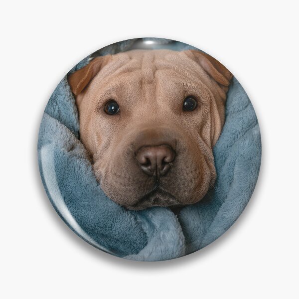 Item preview, Shar Pei in Blanket 01 designed and sold by Elisabeth Lucas.
