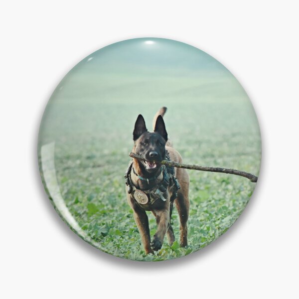 Item preview, Belgian Malinois Dog Playing with Huge Stick designed and sold by VanGaldo.