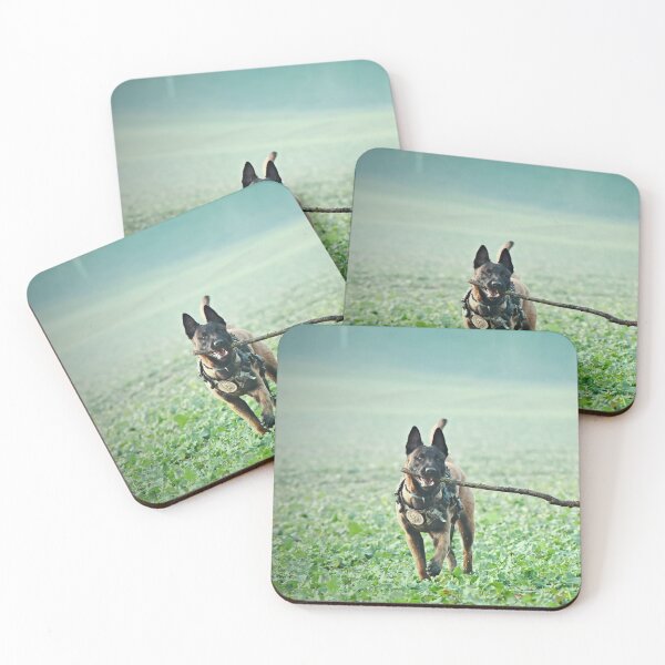Item preview, Belgian Malinois Dog Playing with Huge Stick designed and sold by VanGaldo.