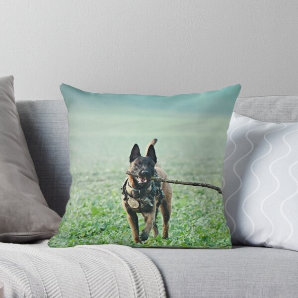 Item preview, Belgian Malinois Dog Playing with Huge Stick designed and sold by VanGaldo.