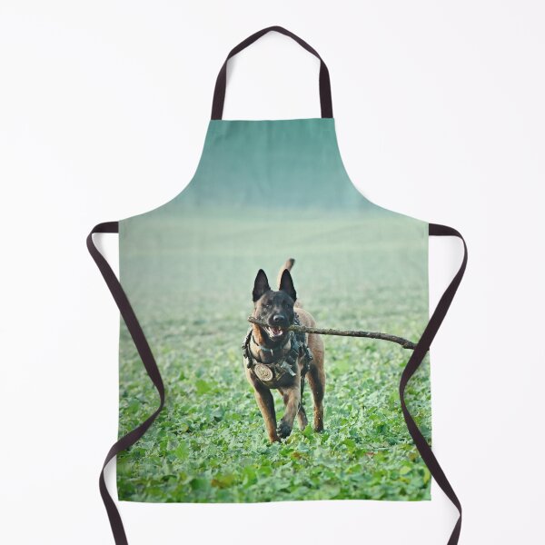 Item preview, Belgian Malinois Dog Playing with Huge Stick designed and sold by VanGaldo.