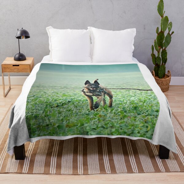Item preview, Belgian Malinois Dog Playing with Huge Stick designed and sold by VanGaldo.