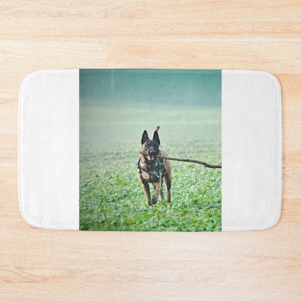 Item preview, Belgian Malinois Dog Playing with Huge Stick designed and sold by VanGaldo.