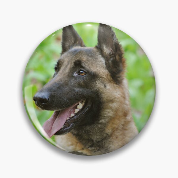 Item preview, Sideview Portrait of Belgian Malinois Dog designed and sold by VanGaldo.