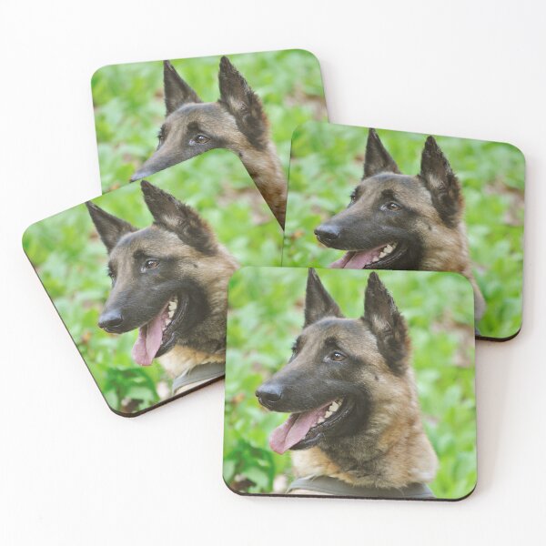 Item preview, Sideview Portrait of Belgian Malinois Dog designed and sold by VanGaldo.