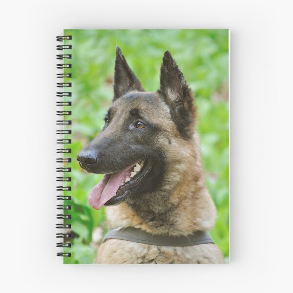 Item preview, Sideview Portrait of Belgian Malinois Dog designed and sold by VanGaldo.