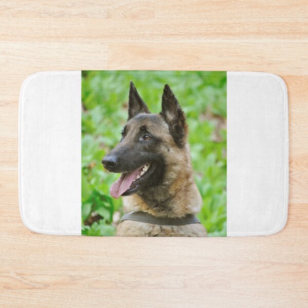 Item preview, Sideview Portrait of Belgian Malinois Dog designed and sold by VanGaldo.