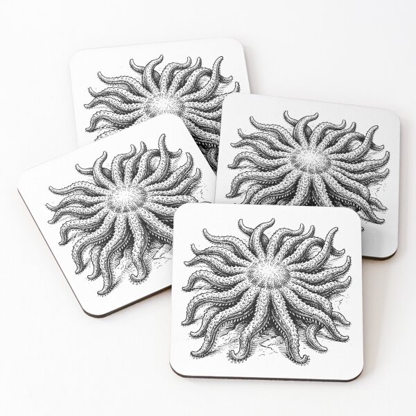 Item preview, Vintage Woodcut Sunflower Sea Star Illustration designed and sold by DuckOddity.