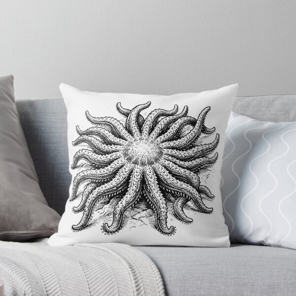 Item preview, Vintage Woodcut Sunflower Sea Star Illustration designed and sold by DuckOddity.