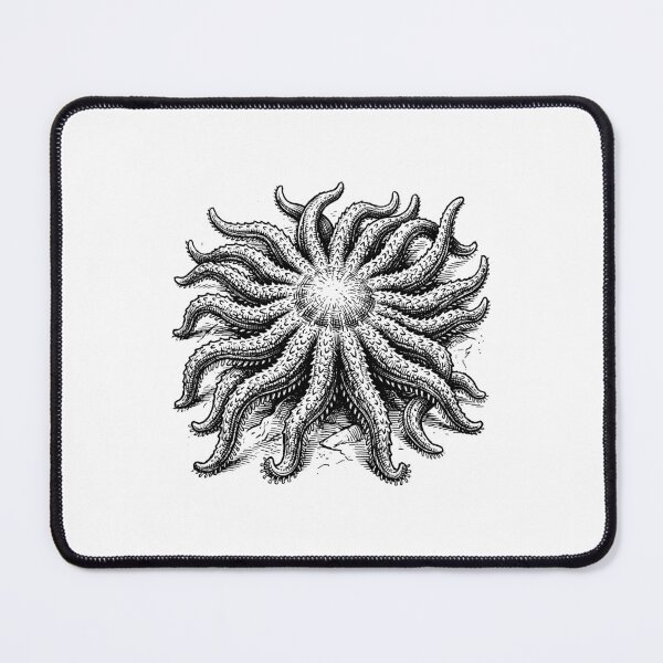 Item preview, Vintage Woodcut Sunflower Sea Star Illustration designed and sold by DuckOddity.