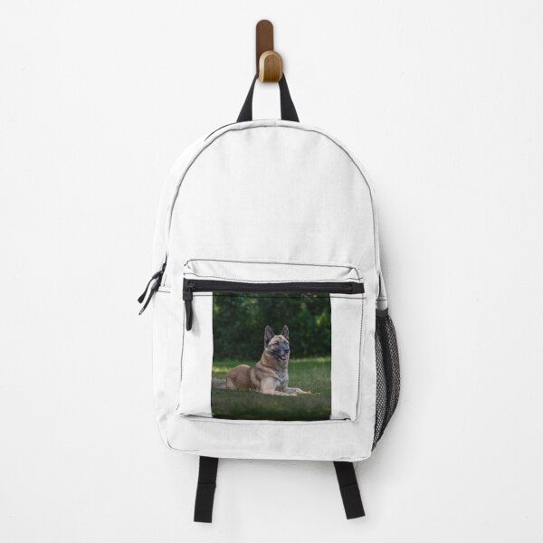 Item preview, Belgian Malinois Dog Lying on the Field designed and sold by VanGaldo.