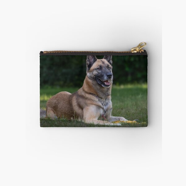 Item preview, Belgian Malinois Dog Lying on the Field designed and sold by VanGaldo.