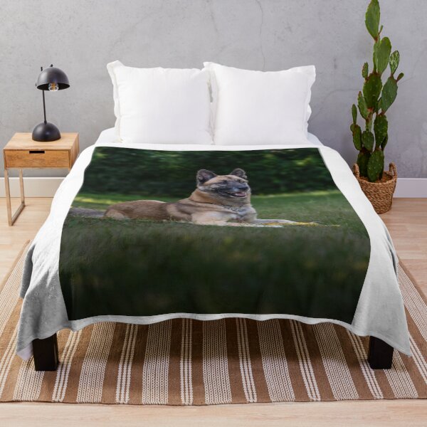 Item preview, Belgian Malinois Dog Lying on the Field designed and sold by VanGaldo.