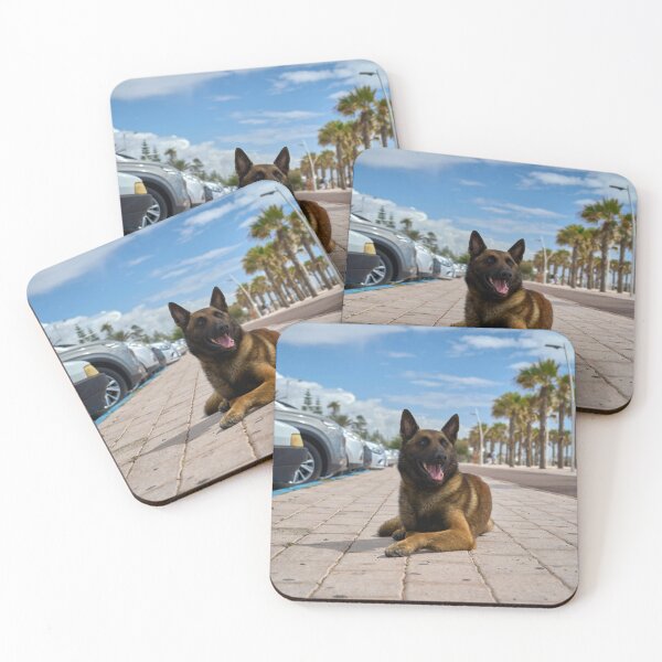Item preview, Belgian Malinois Dog Relaxing in Parking Lot designed and sold by VanGaldo.