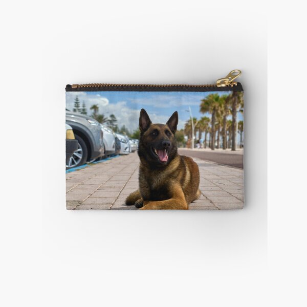 Item preview, Belgian Malinois Dog Relaxing in Parking Lot designed and sold by VanGaldo.