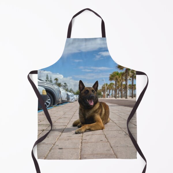 Item preview, Belgian Malinois Dog Relaxing in Parking Lot designed and sold by VanGaldo.