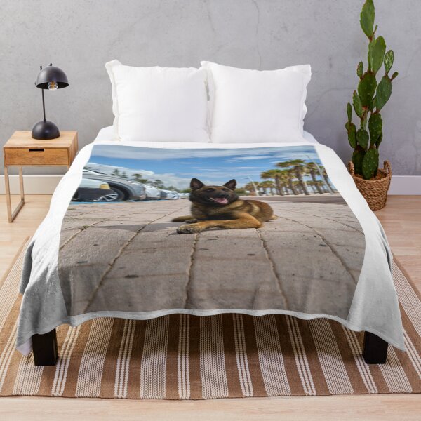 Item preview, Belgian Malinois Dog Relaxing in Parking Lot designed and sold by VanGaldo.