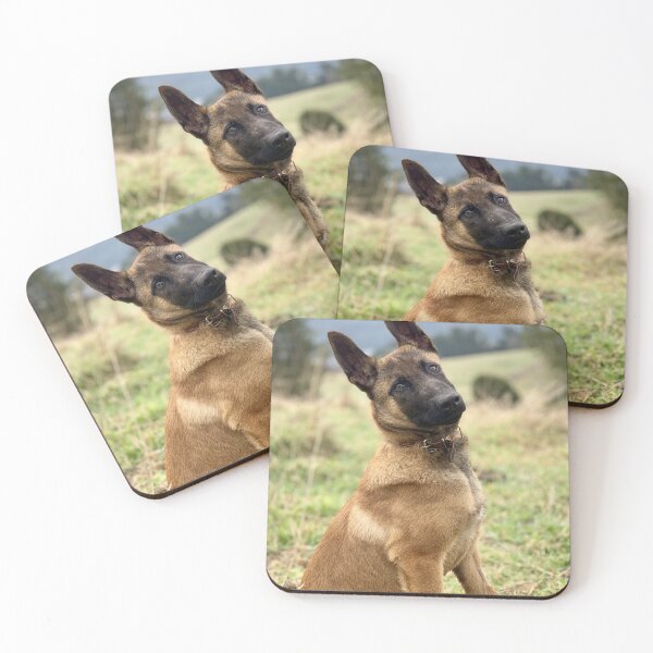 Item preview, Head Tilting Belgian Malinois Puppy designed and sold by VanGaldo.