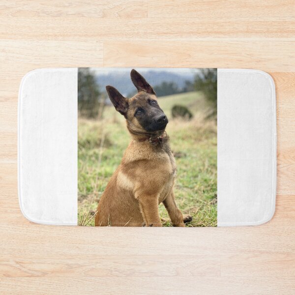 Item preview, Head Tilting Belgian Malinois Puppy designed and sold by VanGaldo.