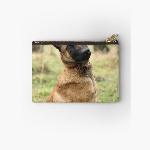 Item preview, Head Tilting Belgian Malinois Puppy designed and sold by VanGaldo.