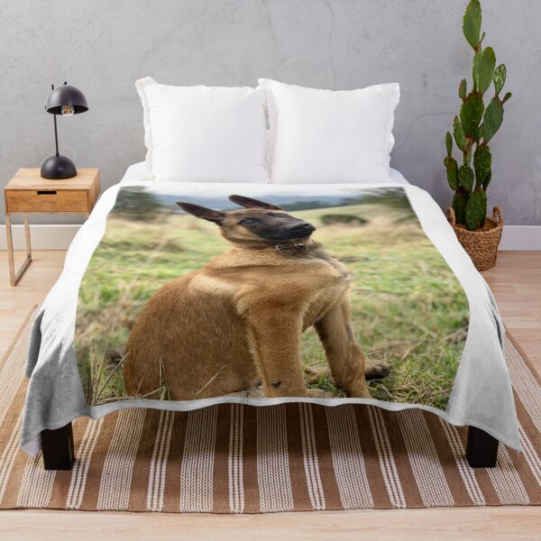 Item preview, Head Tilting Belgian Malinois Puppy designed and sold by VanGaldo.