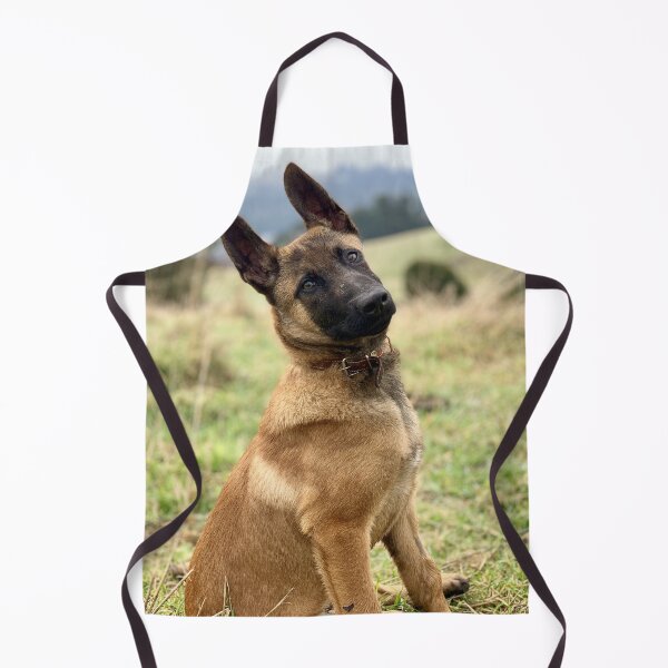 Item preview, Head Tilting Belgian Malinois Puppy designed and sold by VanGaldo.