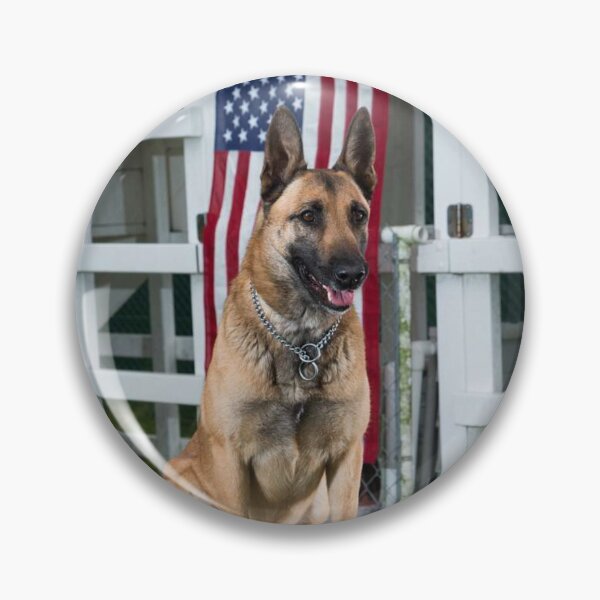 Item preview, Patriot Belgian Malinois Dog Behind American Flag designed and sold by VanGaldo.