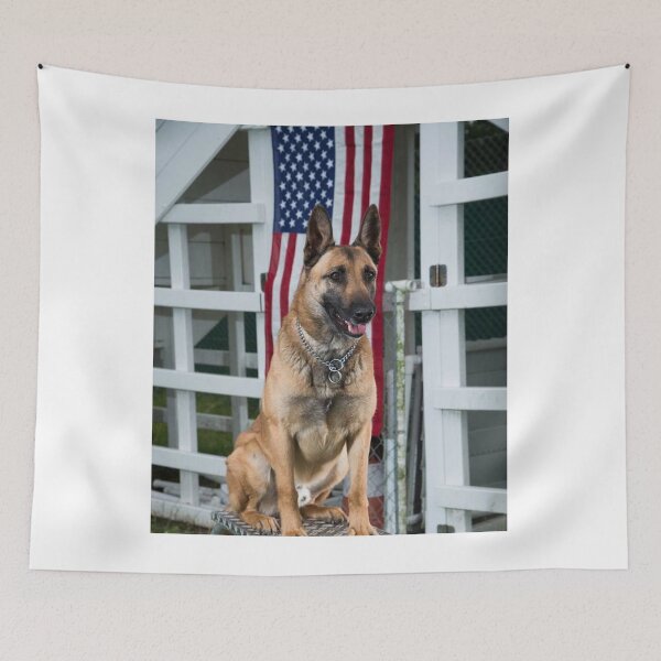 Item preview, Patriot Belgian Malinois Dog Behind American Flag designed and sold by VanGaldo.