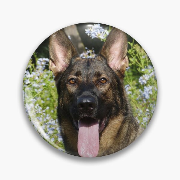 Item preview, Calm Belgian Malinois Dog Loves Flower designed and sold by VanGaldo.