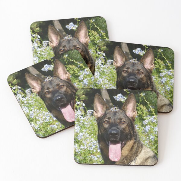 Item preview, Calm Belgian Malinois Dog Loves Flower designed and sold by VanGaldo.