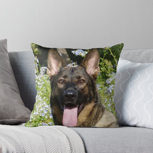 Item preview, Calm Belgian Malinois Dog Loves Flower designed and sold by VanGaldo.