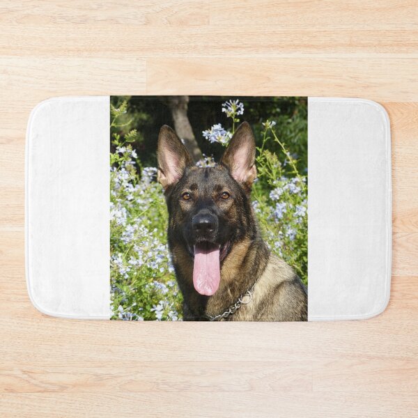 Item preview, Calm Belgian Malinois Dog Loves Flower designed and sold by VanGaldo.