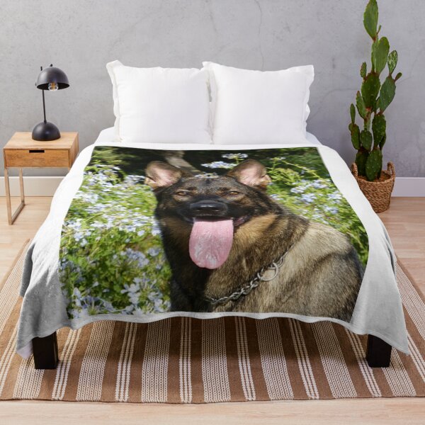 Aperçu de l'œuvre Chien Malinois belge calme qui adore les fleurs créée et vendue par VanGaldo.