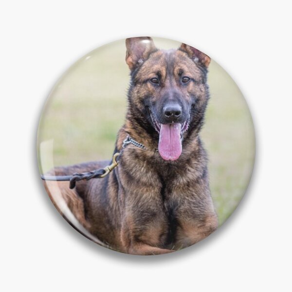 Item preview, High Energy Belgian Malinois Dog designed and sold by VanGaldo.