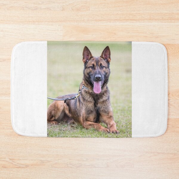 Item preview, High Energy Belgian Malinois Dog designed and sold by VanGaldo.