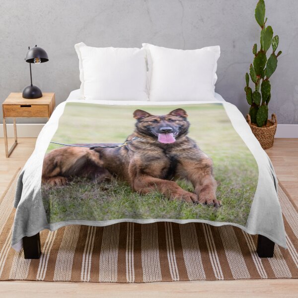 Aperçu de l'œuvre Chien Malinois belge à haute énergie créée et vendue par VanGaldo.