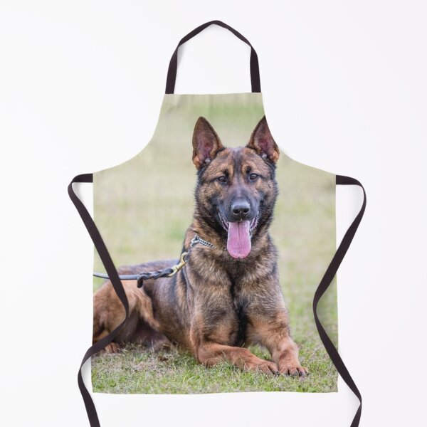 Item preview, High Energy Belgian Malinois Dog designed and sold by VanGaldo.