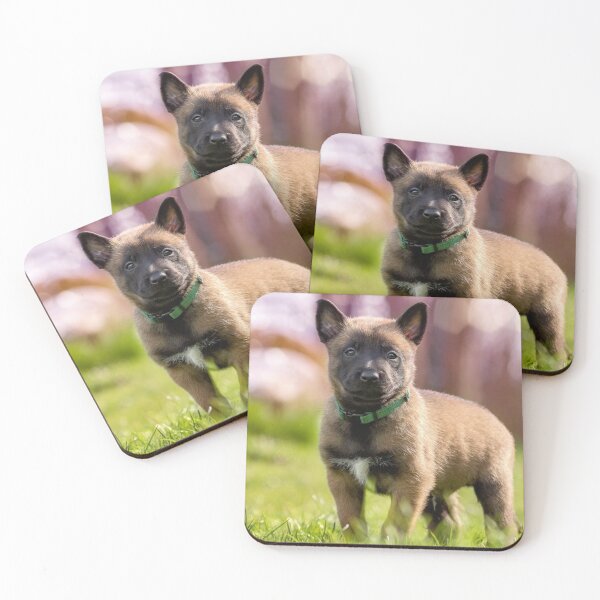 Item preview, Strong Cute Belgian Malinois Puppy designed and sold by VanGaldo.