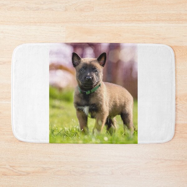 Item preview, Strong Cute Belgian Malinois Puppy designed and sold by VanGaldo.