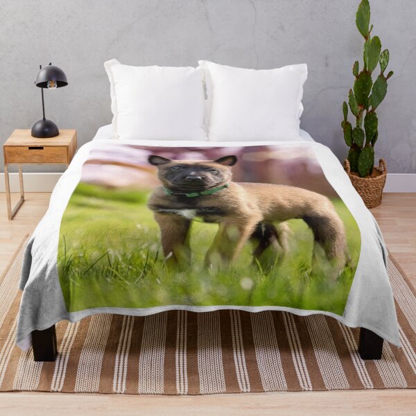 Aperçu de l'œuvre Chiot Malinois belge, fort et mignon créée et vendue par VanGaldo.
