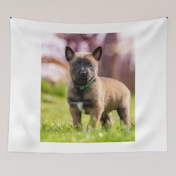 Item preview, Strong Cute Belgian Malinois Puppy designed and sold by VanGaldo.