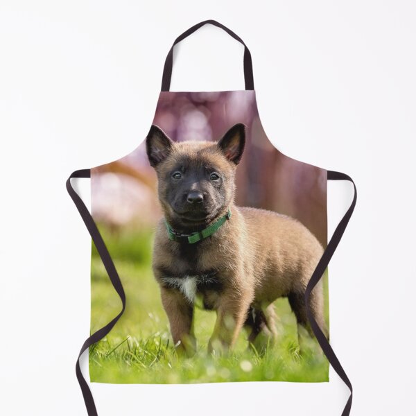 Item preview, Strong Cute Belgian Malinois Puppy designed and sold by VanGaldo.